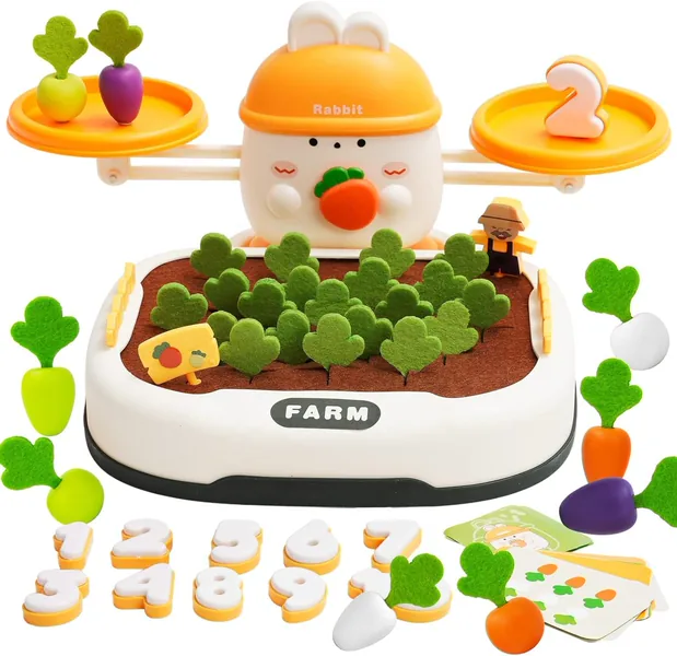 Montessori Teaching Tools STEM Science Kit for Children Educational Toys Counting Sorting Math Balance Toy view 6